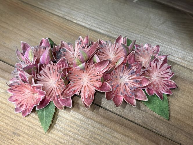 Hovedbilde Miriam Hårblomst
