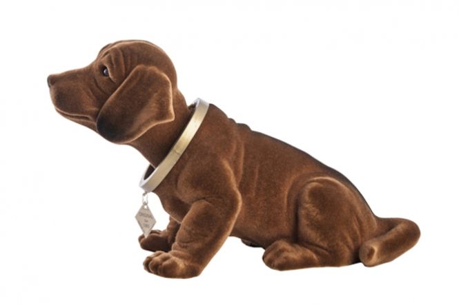 Main Image Dax - stor nikkehund