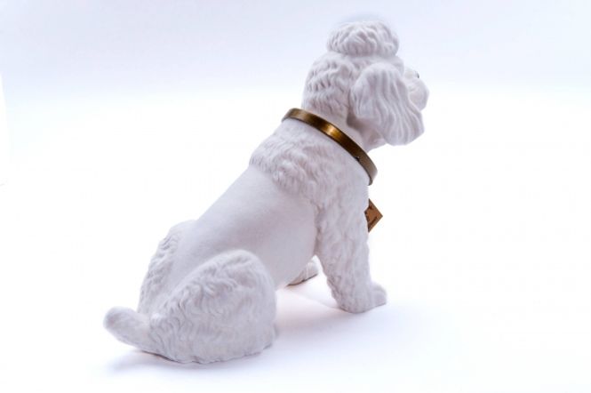 Hovedbilde Puddel - stor hvit nikkehund