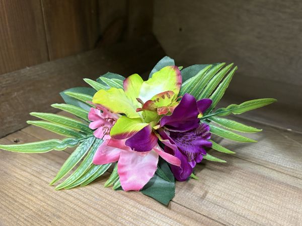 Fucsia Tropical Hårblomst