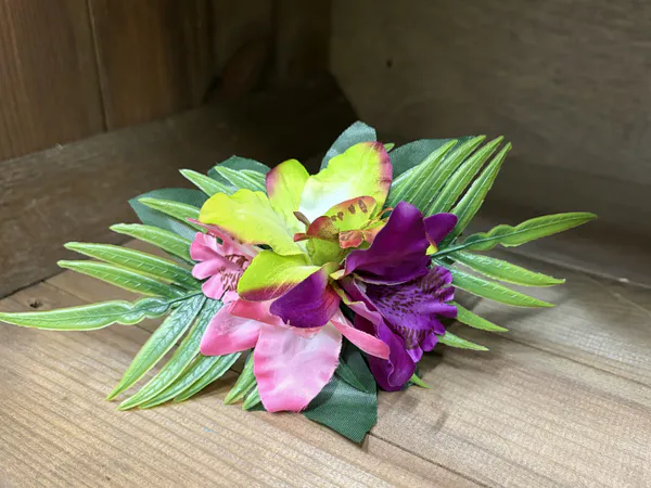 Fucsia Tropical Hårblomst