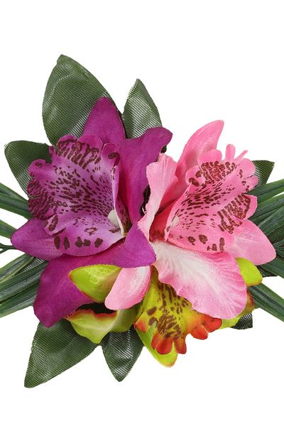 Fucsia Tropical Hårblomst